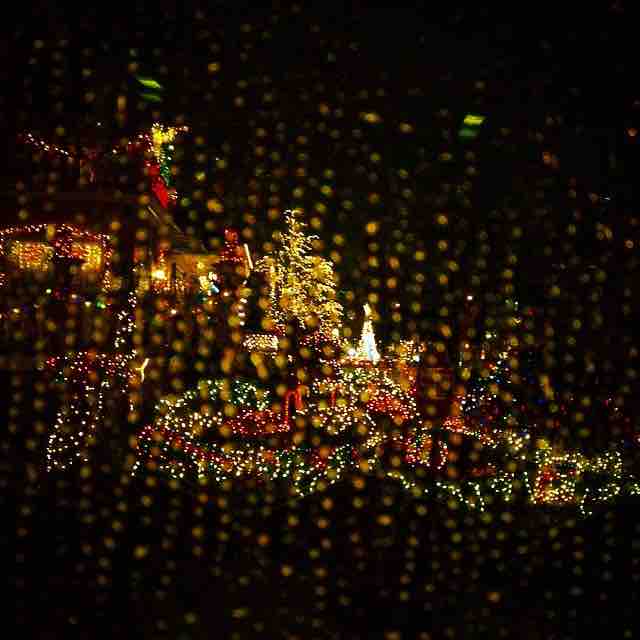 rosielovesarturo checking out the christmas  lights in dyker heights in the rain from the comfort of a dray warm car copy
